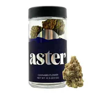 Aster - El Chivo - 14g