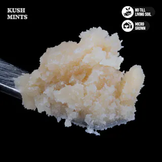 Royal Genetics - Kush Mints - Rosin - 1g