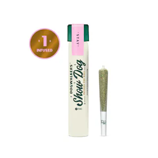 Dogwalkers - Afternoon Delight #4 (Indoor) - Big Dog Infused - 1g