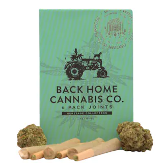 Back Home Cannabis Co - Jack Herer - 6pk - .5g