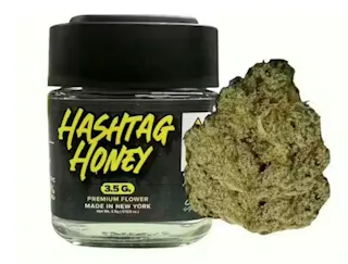 Hashtag Honey - GMO Cookies (Indoor) - 3.5g