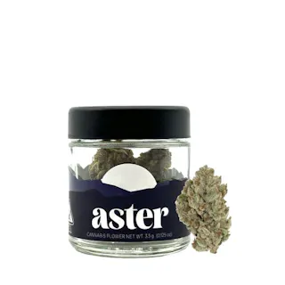 Aster - King Sherbert - 3.5g