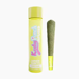 Kushy Punch - Lemon Runtz - Infused - 1g