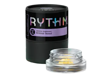 Rythm - Animal Scout - Live Resin - 2g