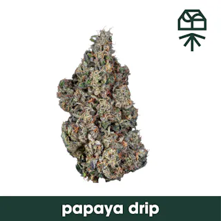 Grassroots - Papaya Drip - (Indoor) - 28g