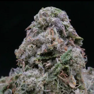 Milkweed - Toad Venom (Indoor Hydroponics) - 3.5g