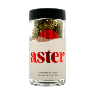 Aster - Lemon Vuitton - 14g