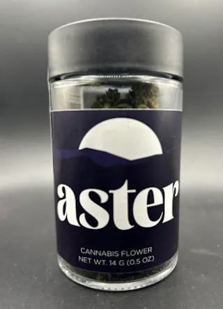 Aster - Purple Cream - 14g