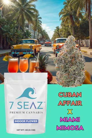 7Seaz - Cuban Affair x Miami Mimosa (Indoor) - 14g