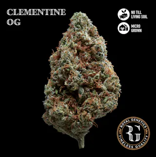 Royal Genetics - Clementine OG (Indoor) - 3.5g