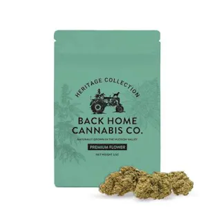 Back Home Cannabis Co - Jack Herer - 3.5g