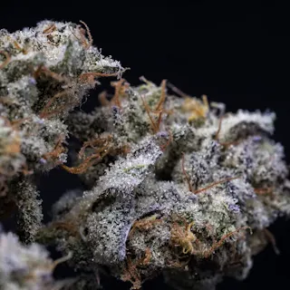 Milkweed - Invisible Gas (Indoor Hydroponics) - 3.5g