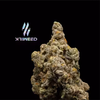 Milkweed - White Buffalo (Indoor Hydroponics) - 3.5g