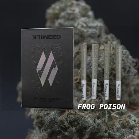 Milkweed - Frog Poison (Indoor Hydroponics) - 4pk - .75g