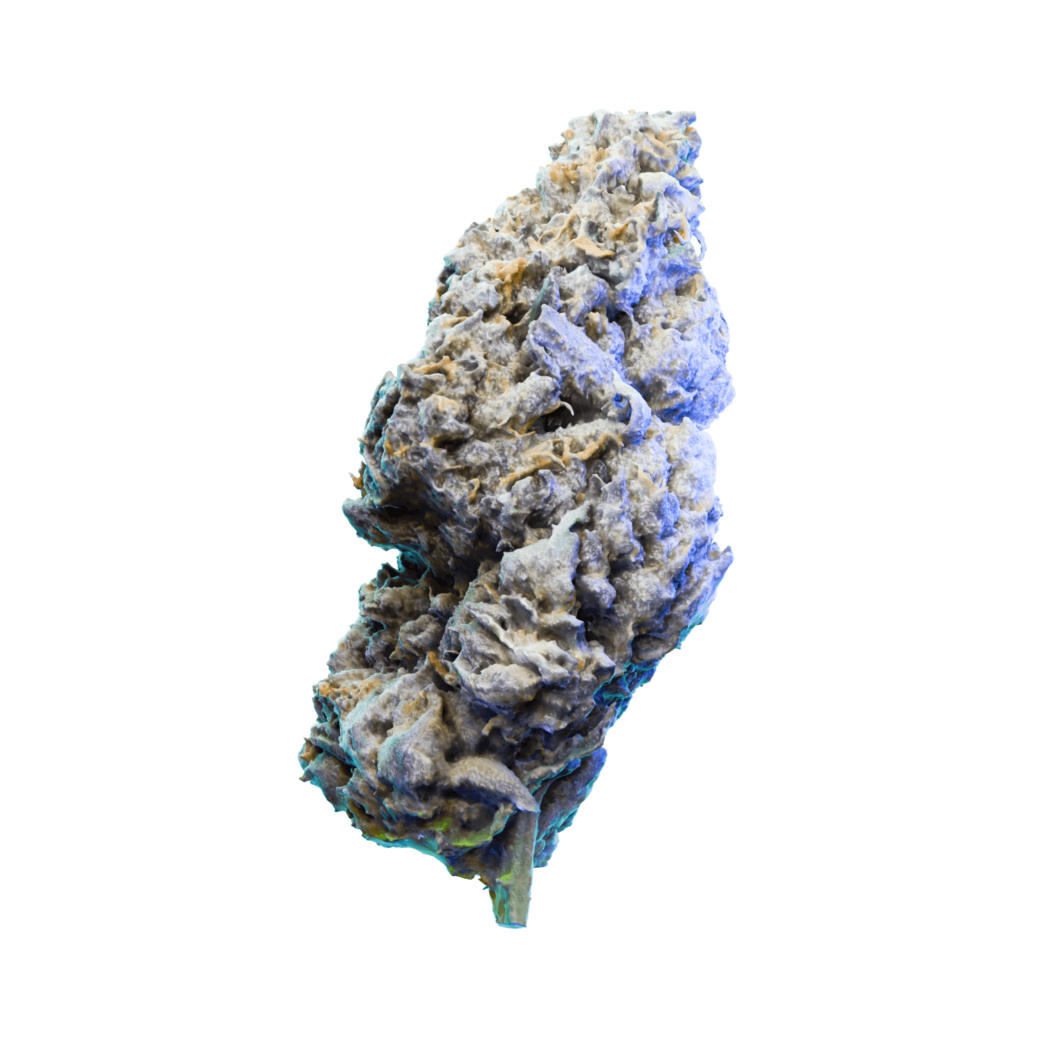 Flower | BluLight Cannabis - Woodbury Heights (Rec) | 890 Mantua