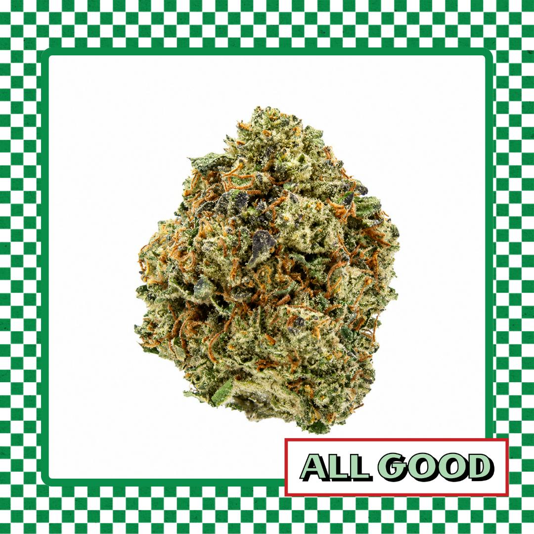 Slack Hollow | Poddy Mouth | Flower | IndHyb | 1g