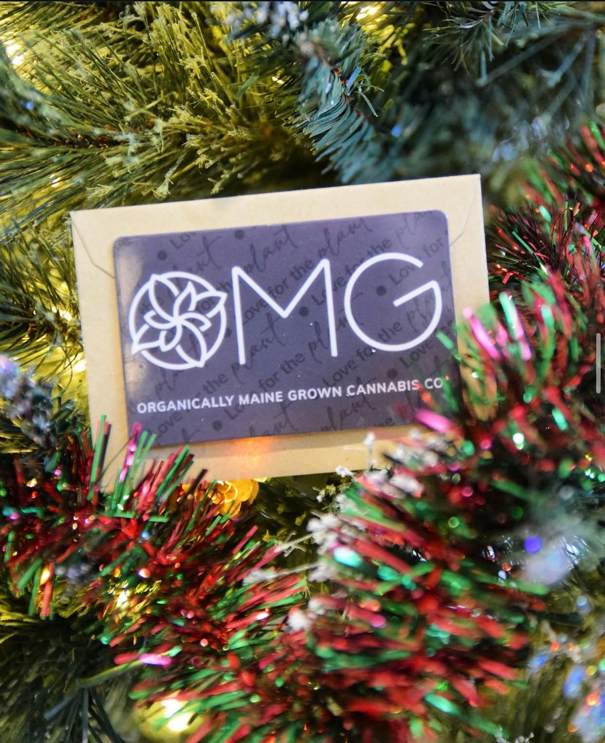 Holiday Shop & Offers icon