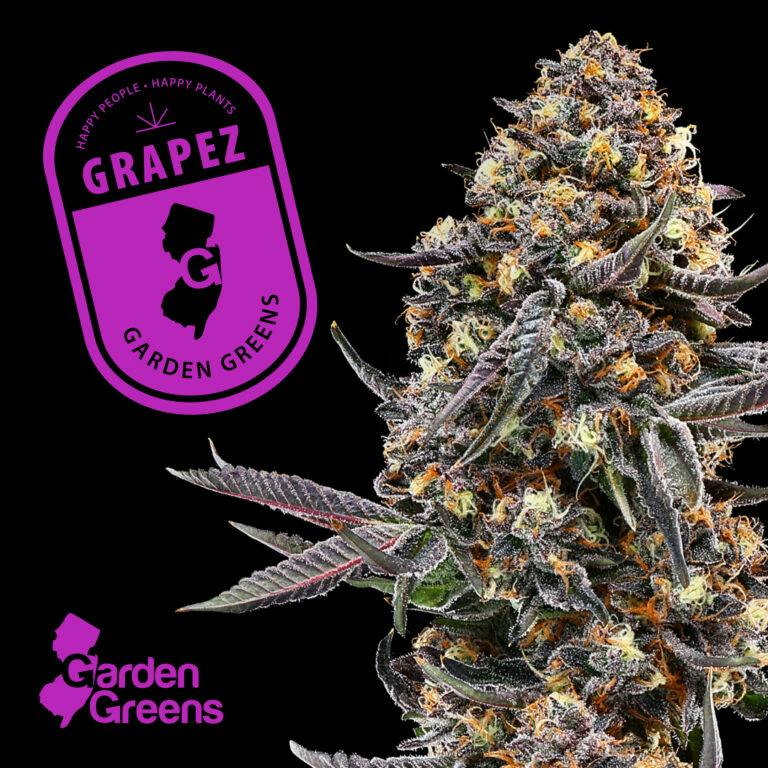 Shop Garden Greens - Grapez - Flower - 3.5g - 3.5g in Bergen County ...