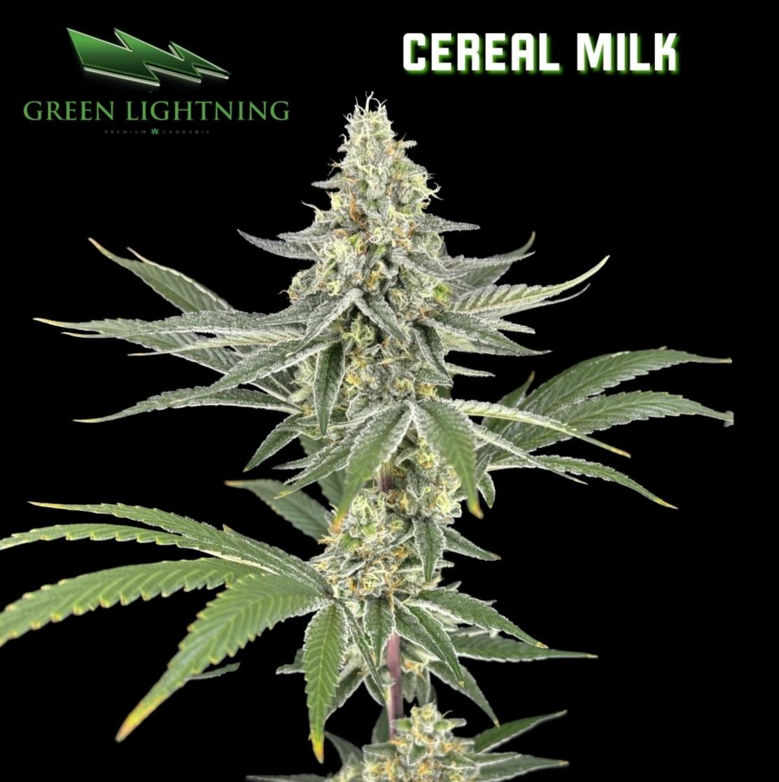 Cereal Milk | Flower | 3.5g