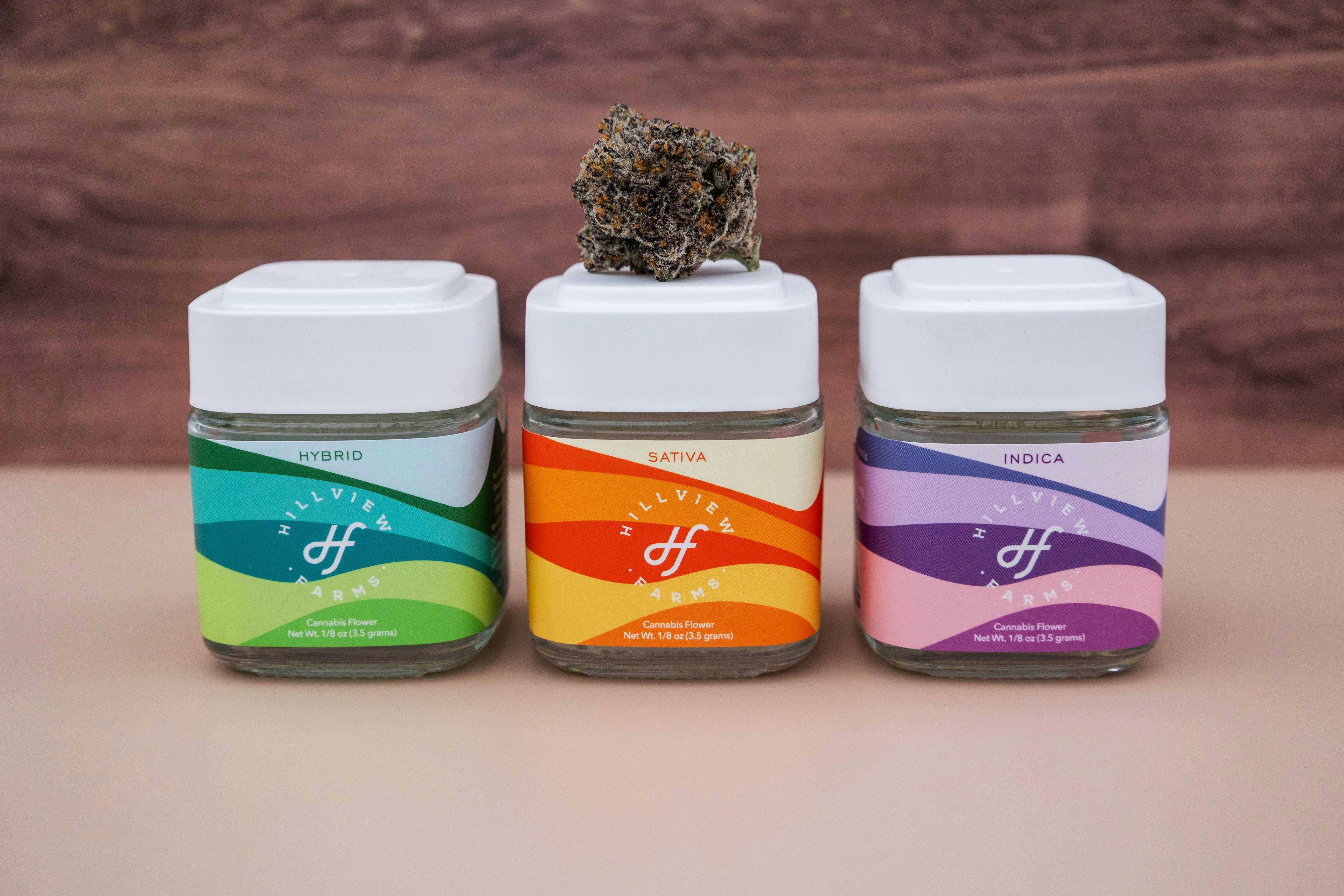 Grape Gas | Premium Flower | 3.5g