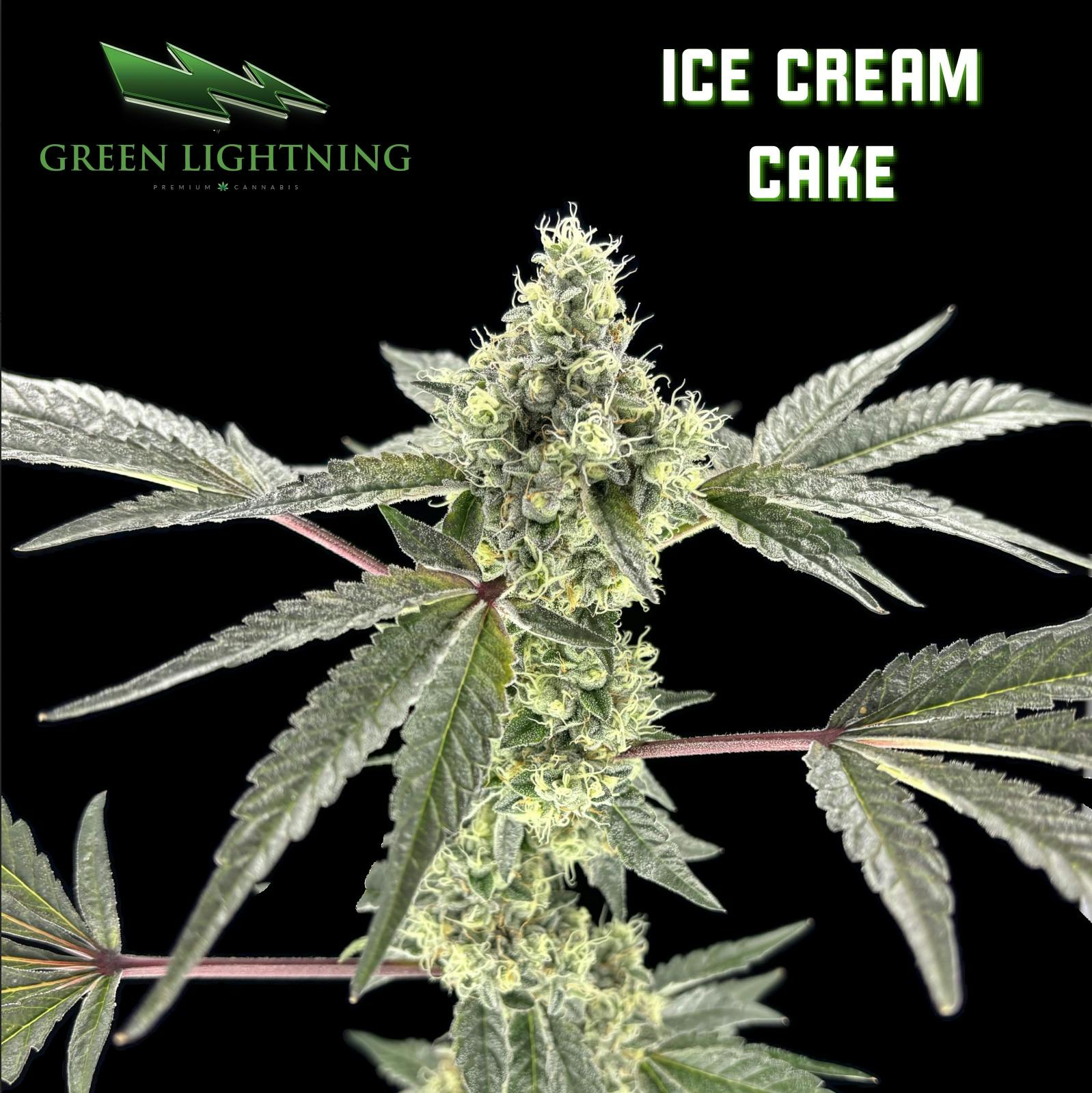 Ice Cream Cake | Flower | 3.5g