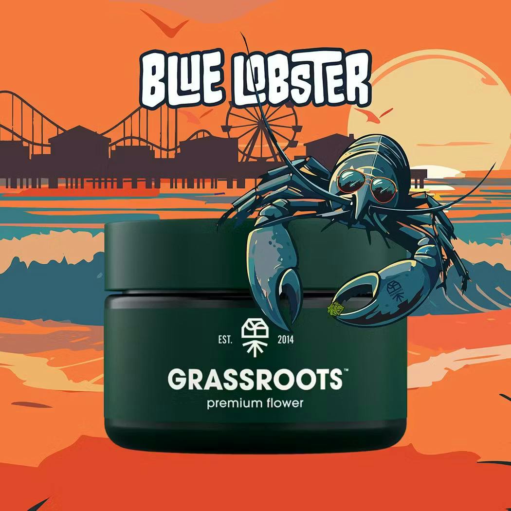 Blue Lobster | Smalls | 7g