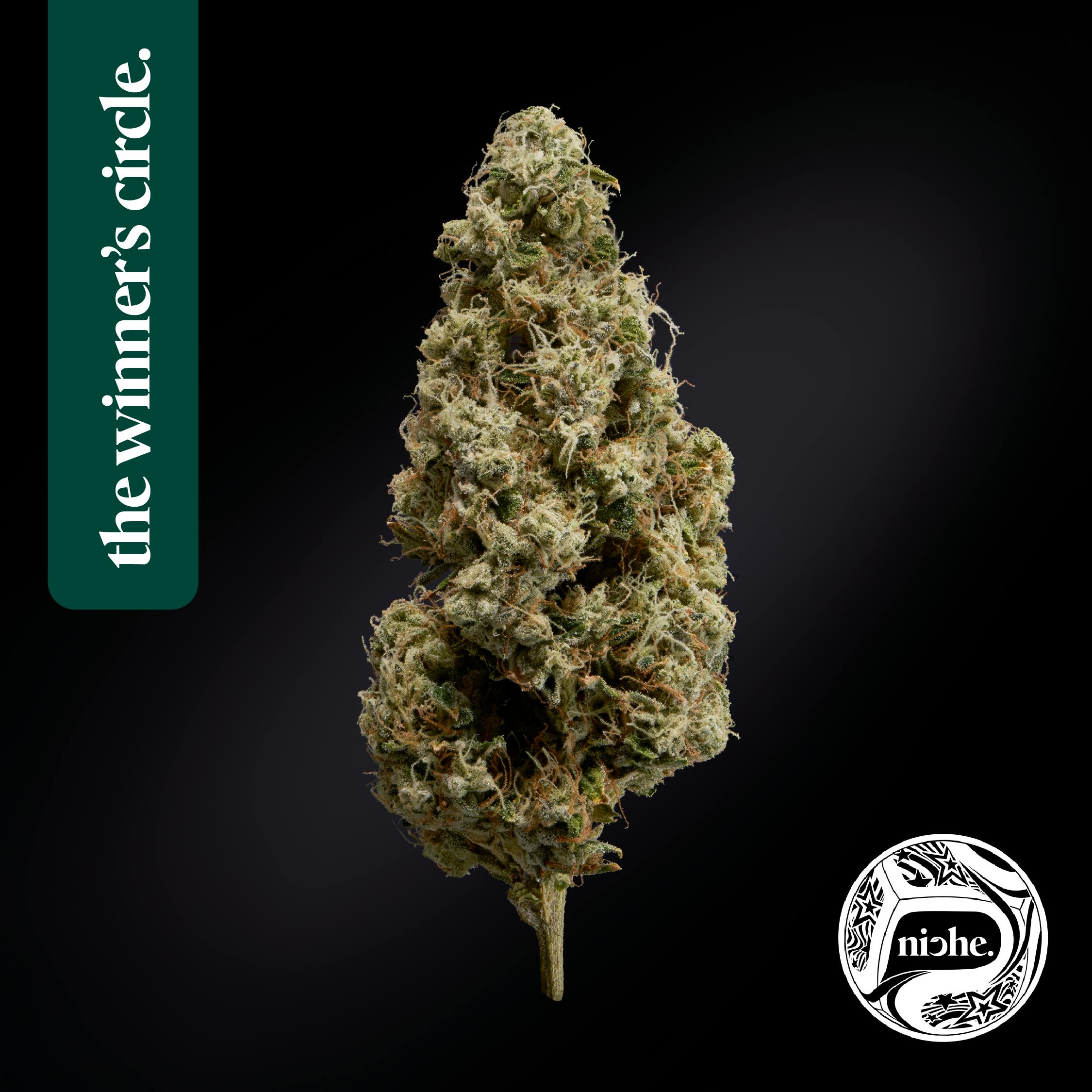 Niche | Fatso | Flower | 3.5g
