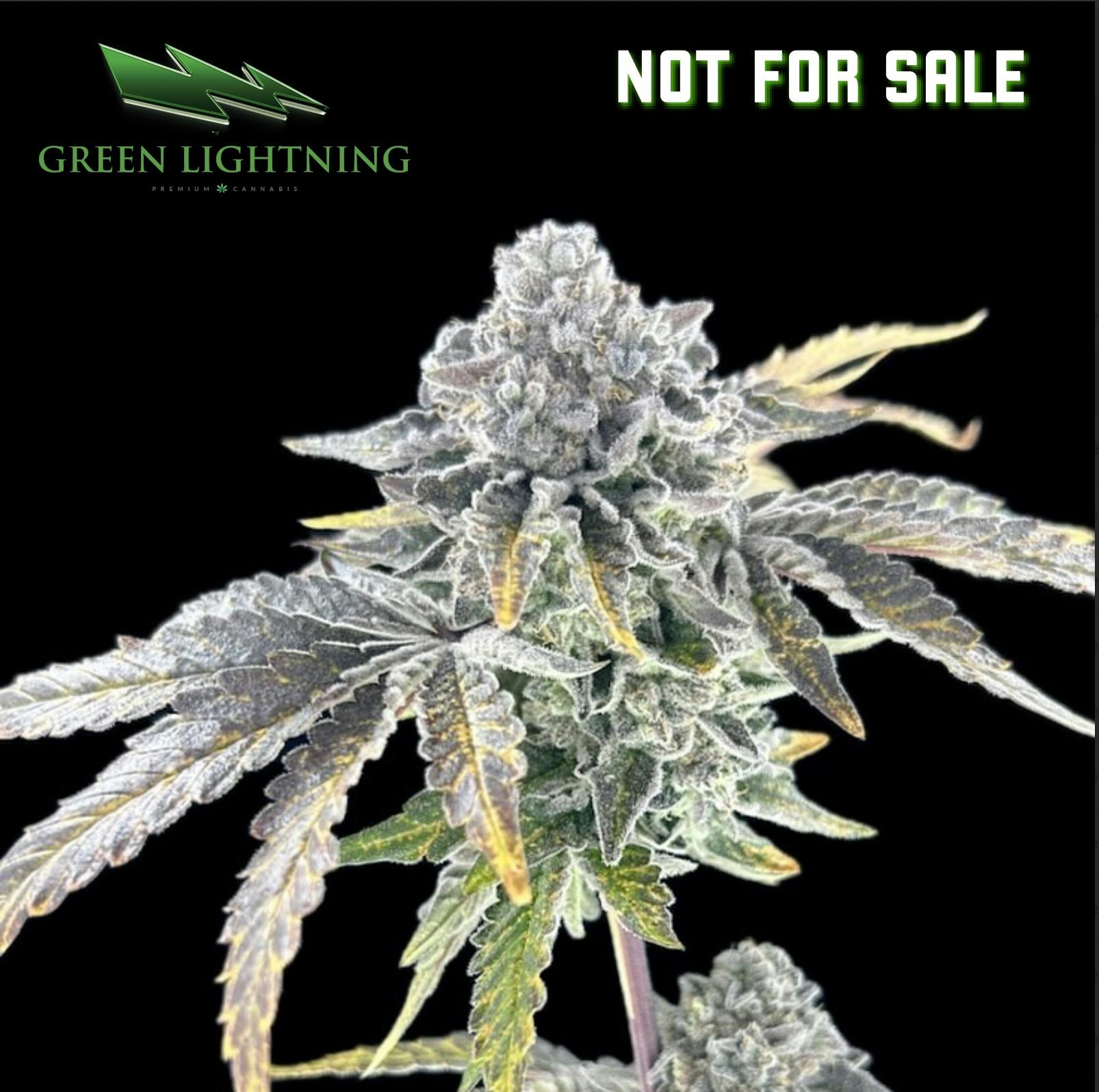 Not For Sale | Smalls | 3.5g