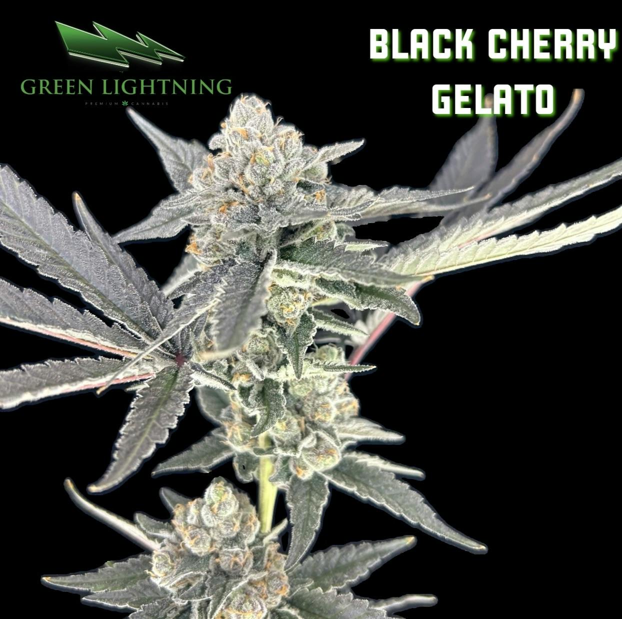 Black Cherry Gelato | Flower | 3.5g