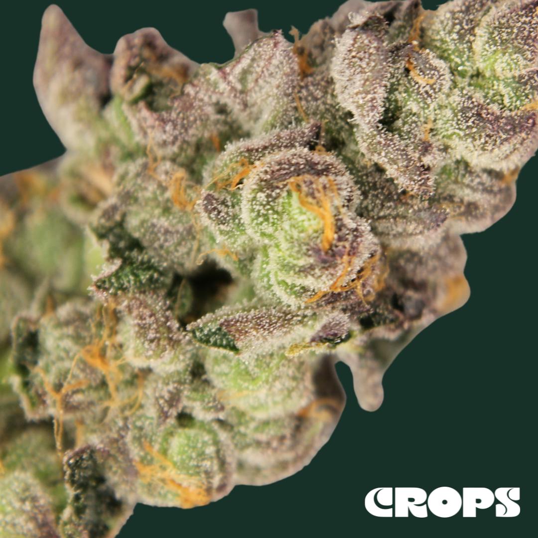 Orange Malt | Flower | 1g