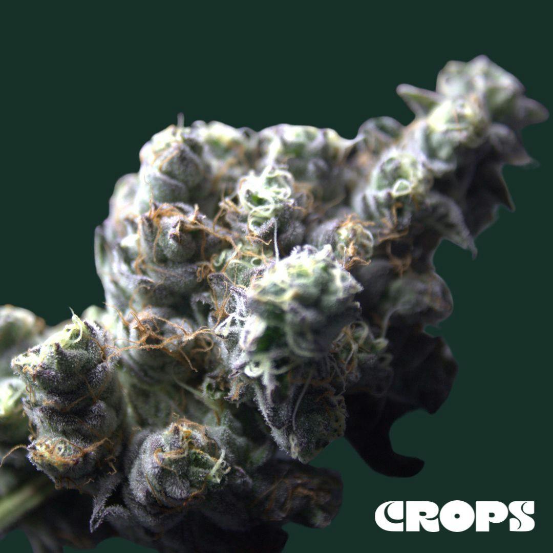 Soap | Flower | 1g