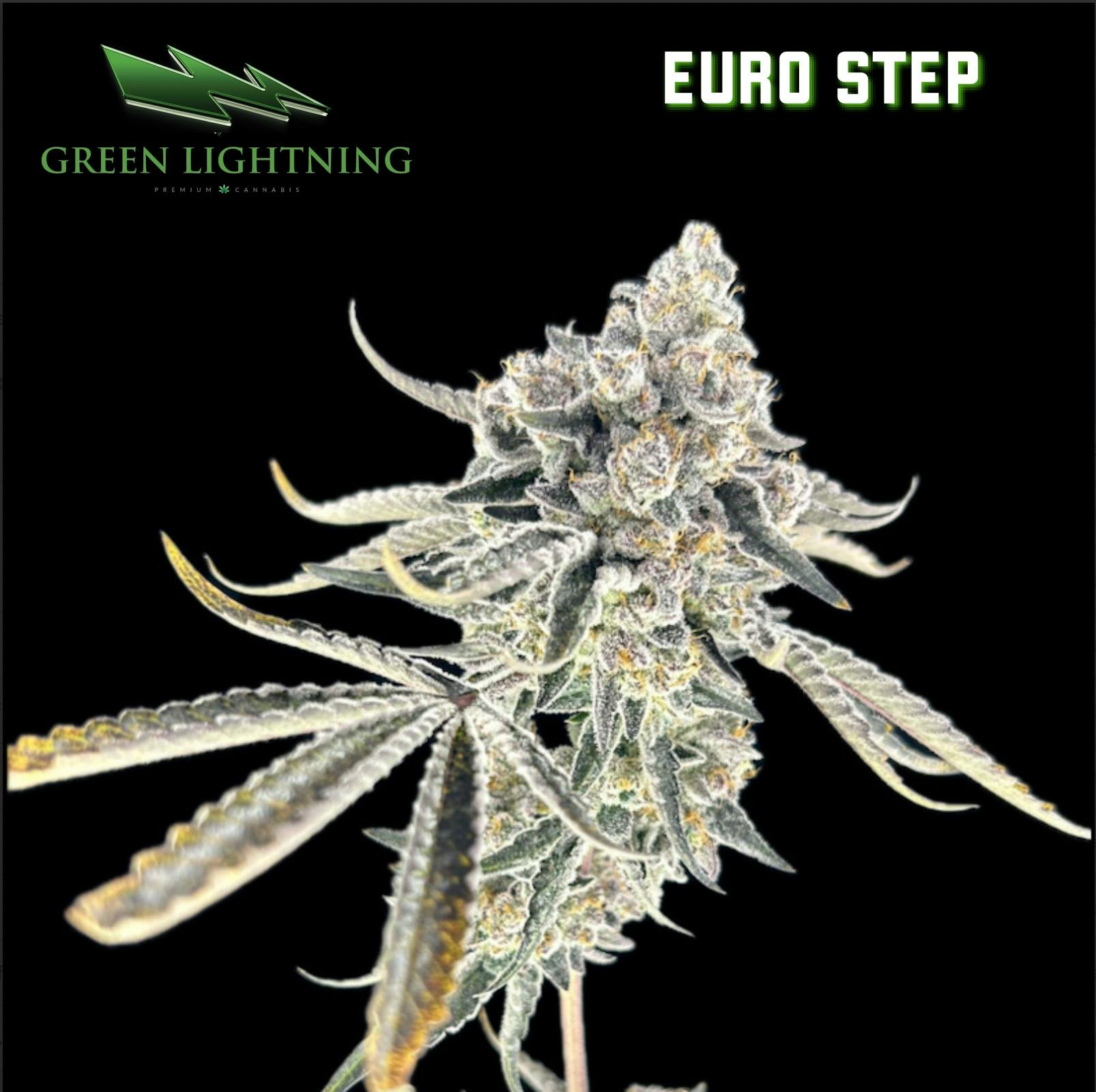 Euro Step | Flower | 3.5g