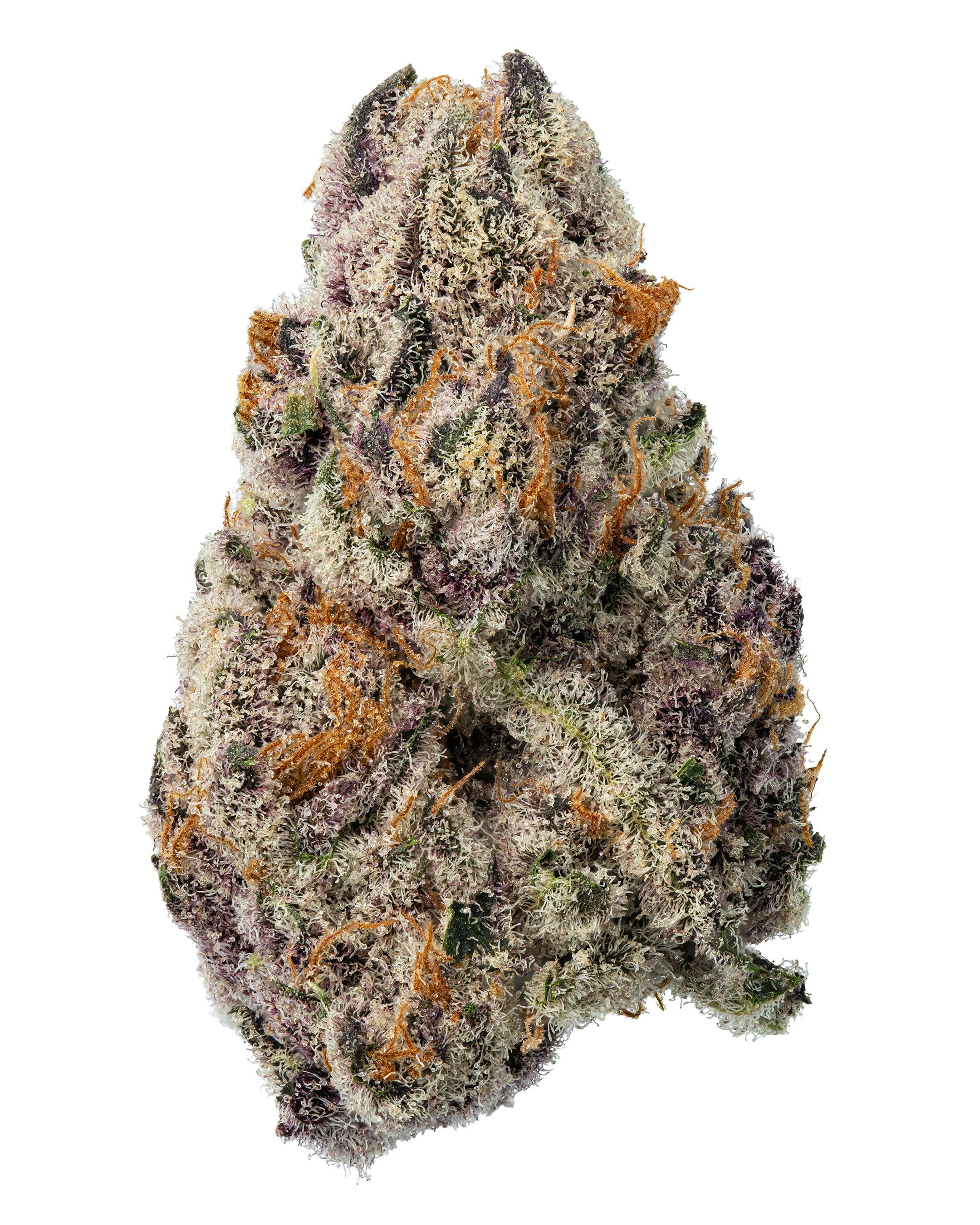 Gary X Mac | Premium Flower | 3.5g