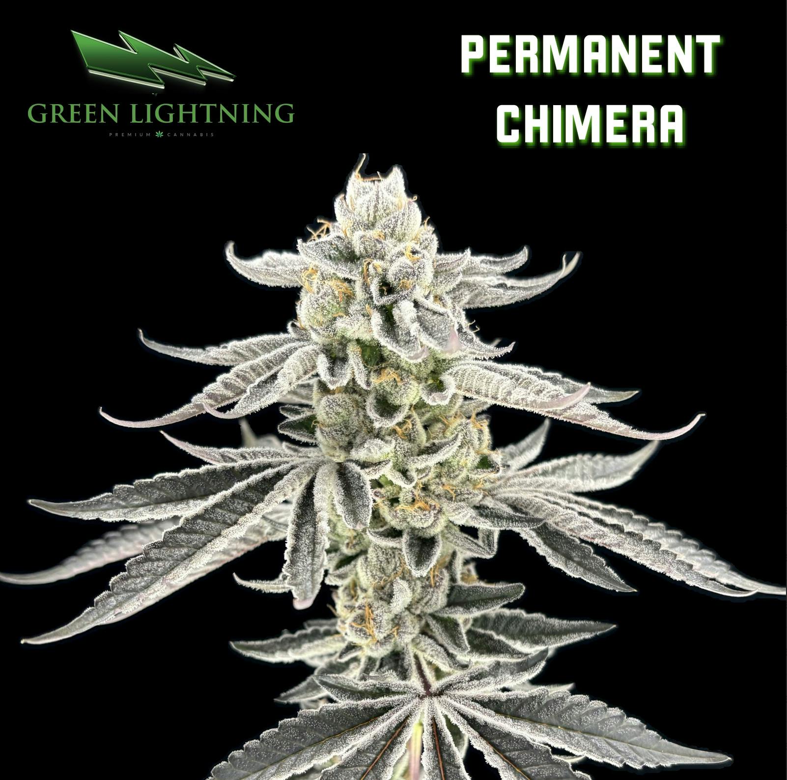 Permanent Chimera | Flower | 3.5g