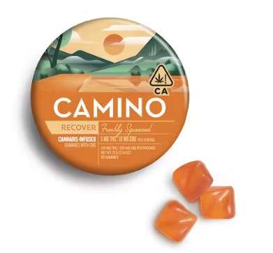 Shop Camino | Freshly Squeezed | 20pk | 100mg - 100mg in Bergen