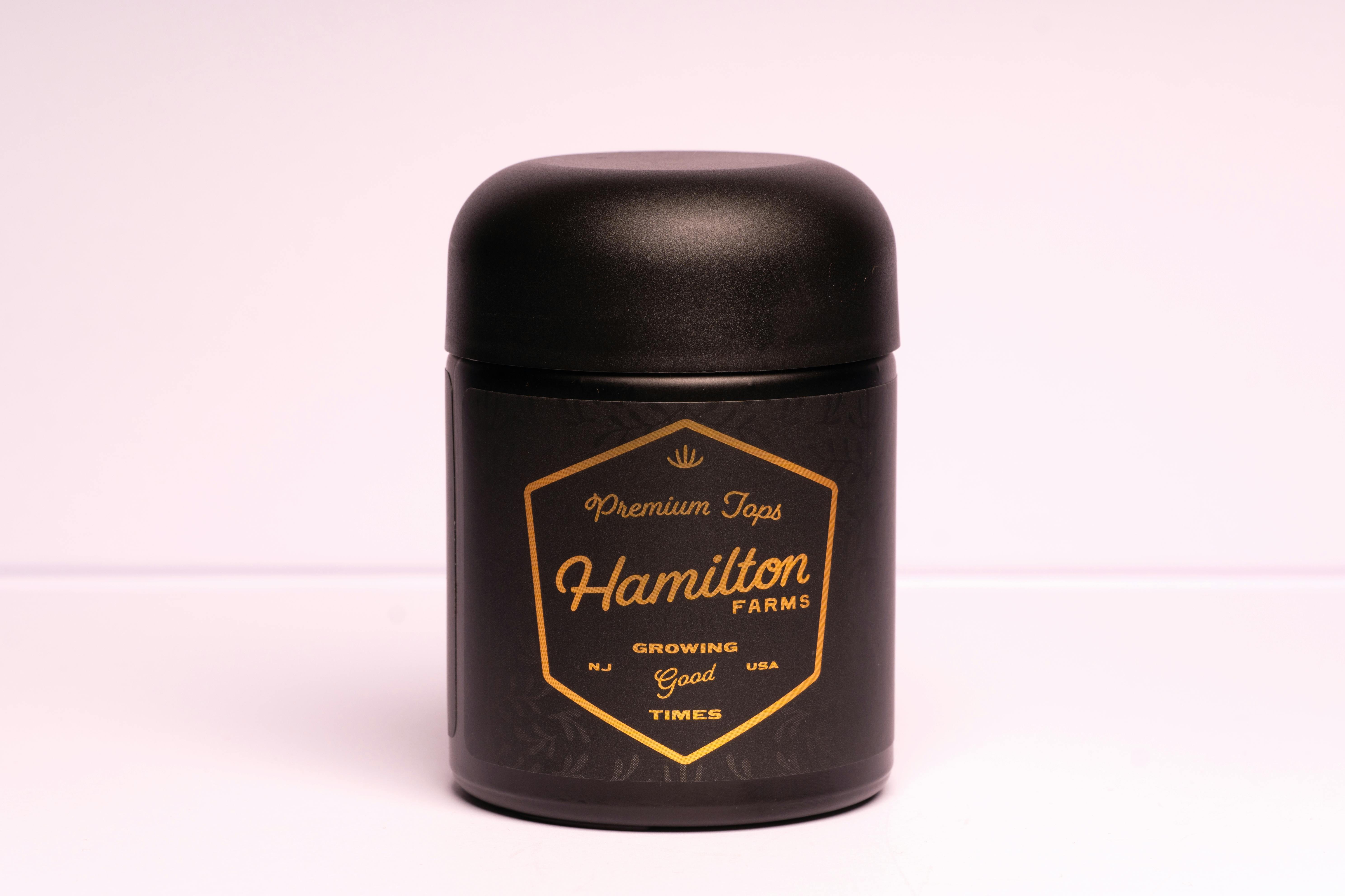 Singapore Sling | Flower | 3.5g | Glass Jar