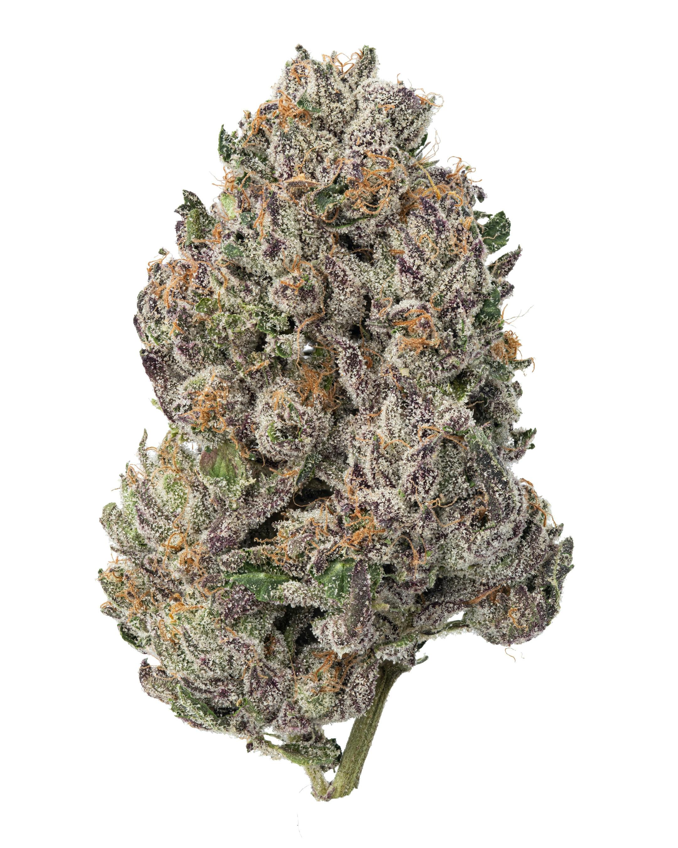 Gelato Cake | Premium Flower | 3.5g