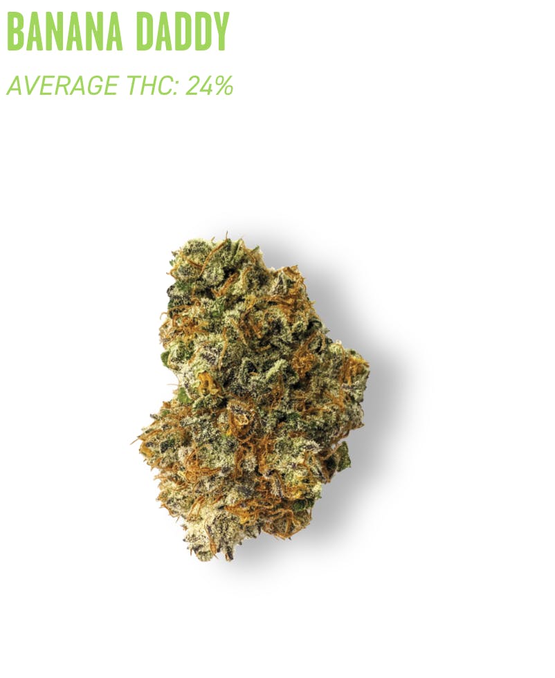 Banana Daddy- Flower-3.5g