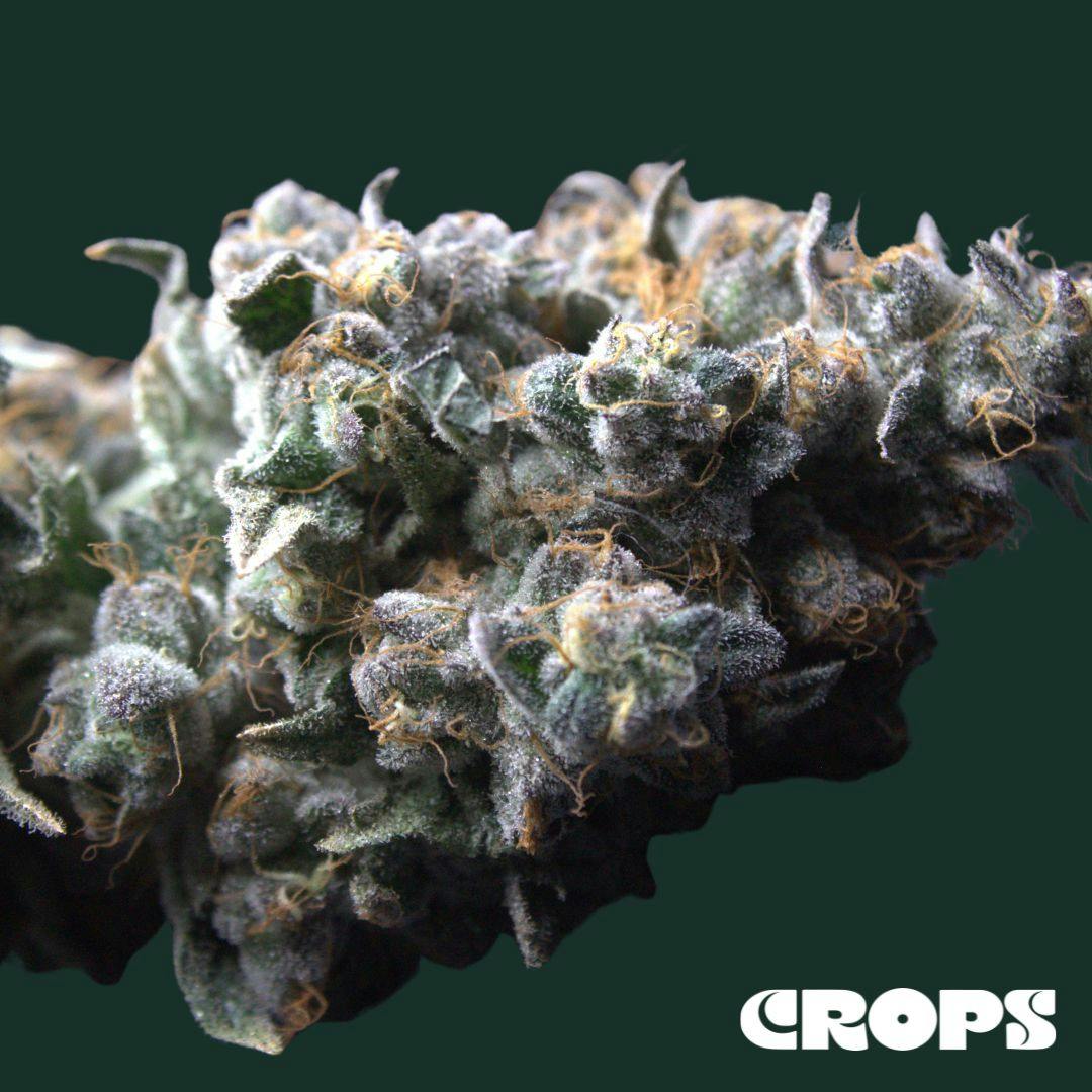 Baby Yoda | Flower | 1g