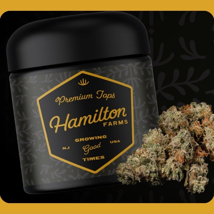 Block Berry | Flower | 3.5g | Glass Jar |
