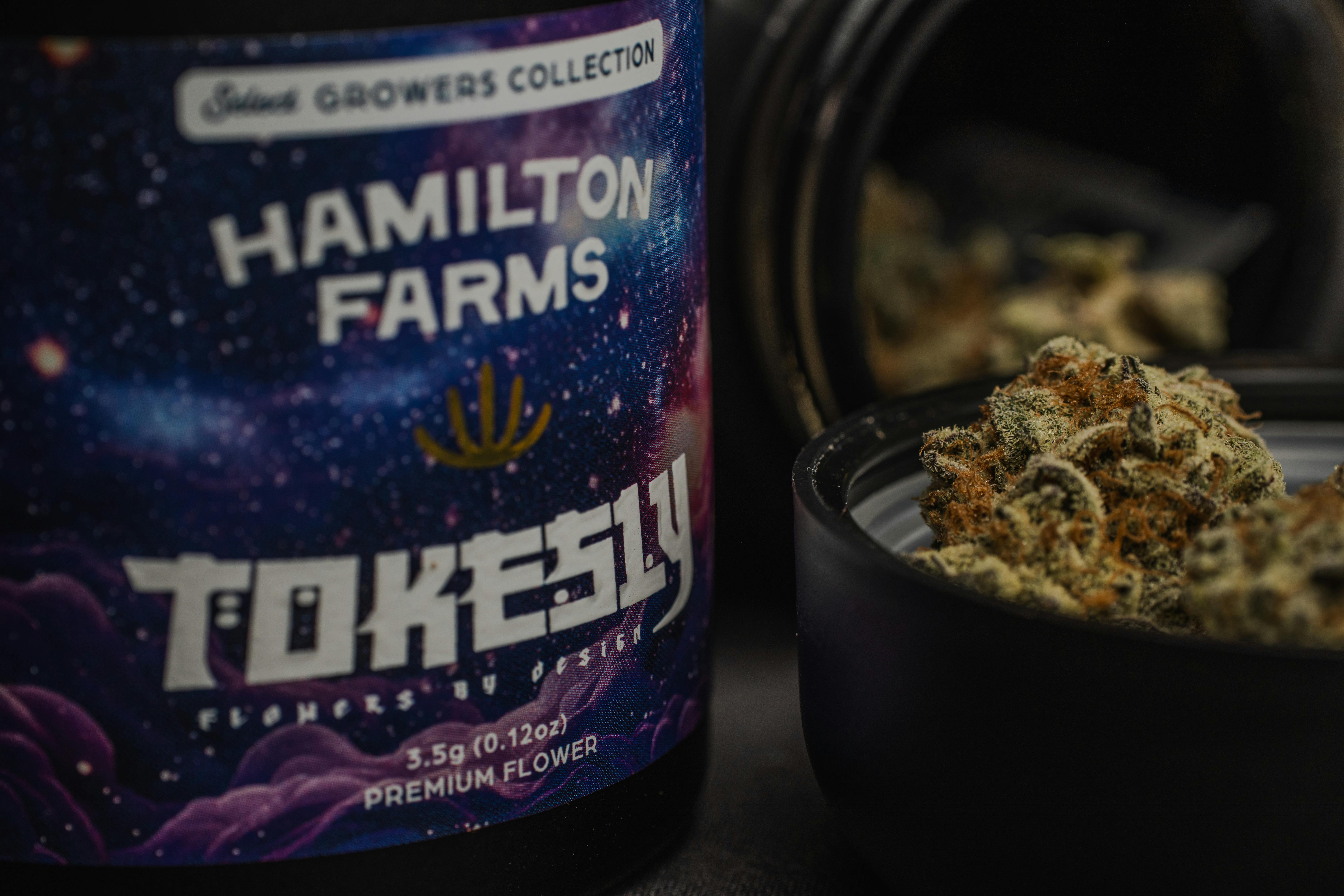 Grape Rock Candy | Flower | 3.5g