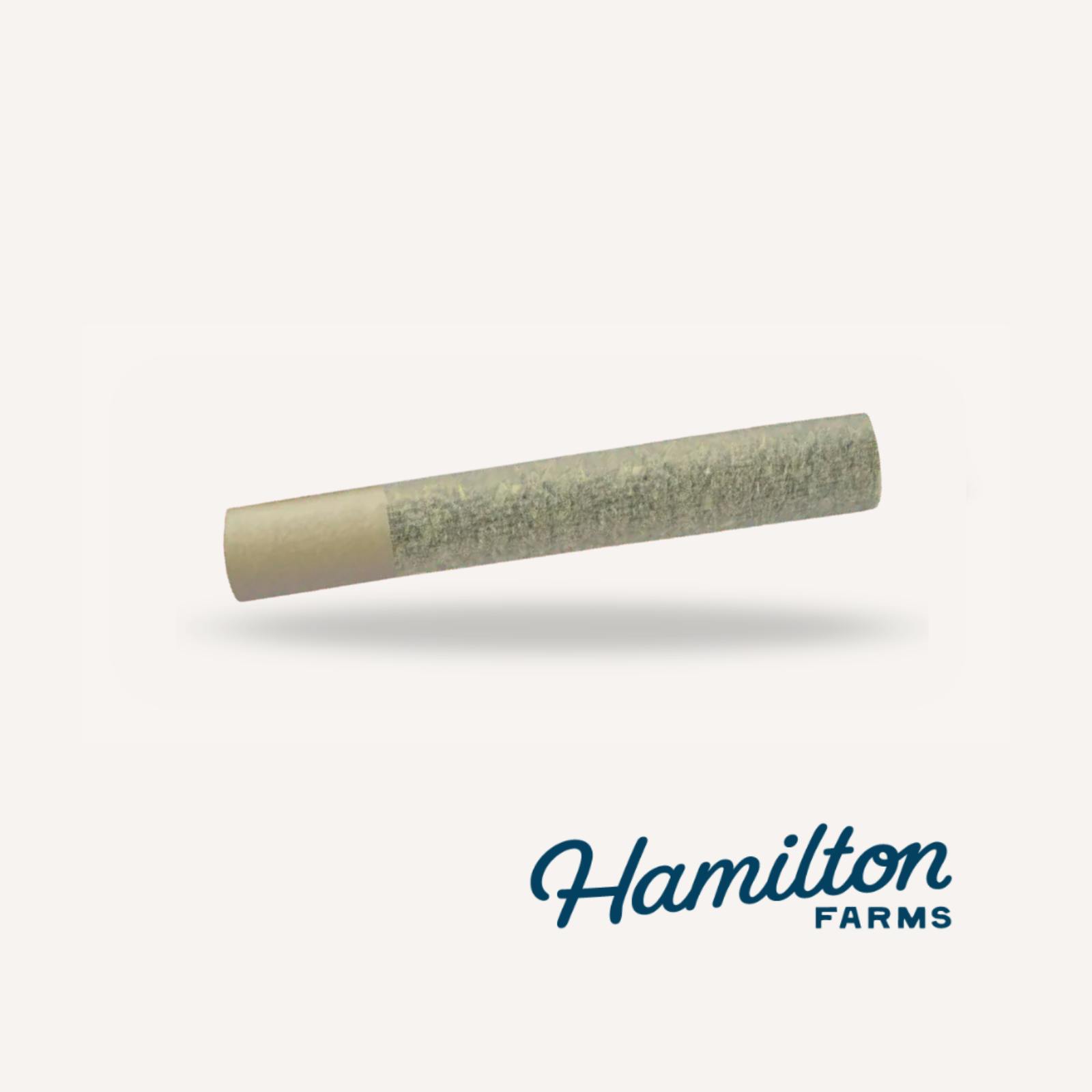 Hamilton Farms | Pineapple Piff | Pre-Roll | 1g