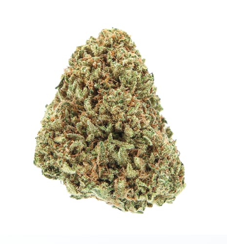 Slack Hollow | Blue Dream | Flower | SatHyb | 3.5g