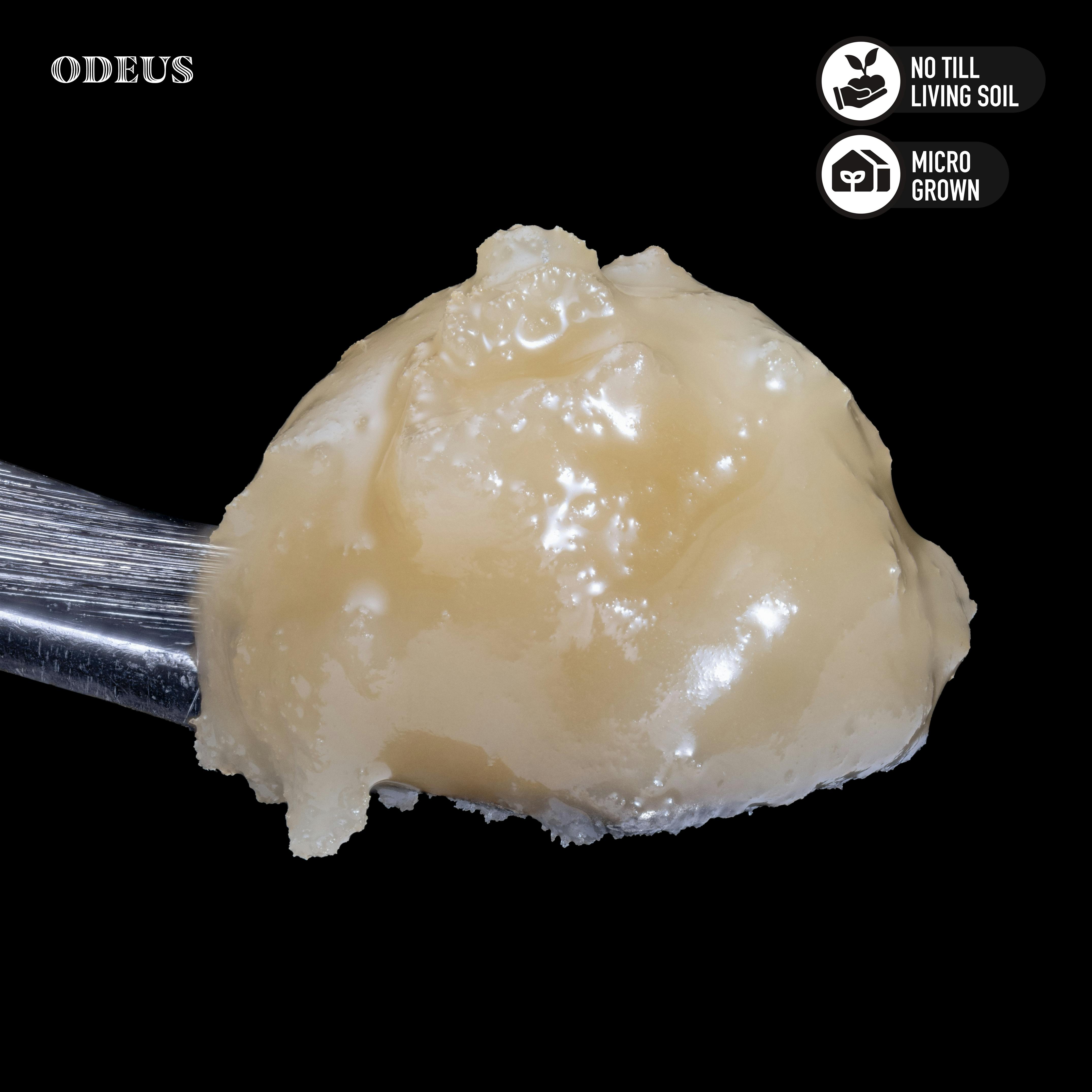 Royal Genetics | Odeus Maximus | Live Rosin | Indica Hybrid | 1g