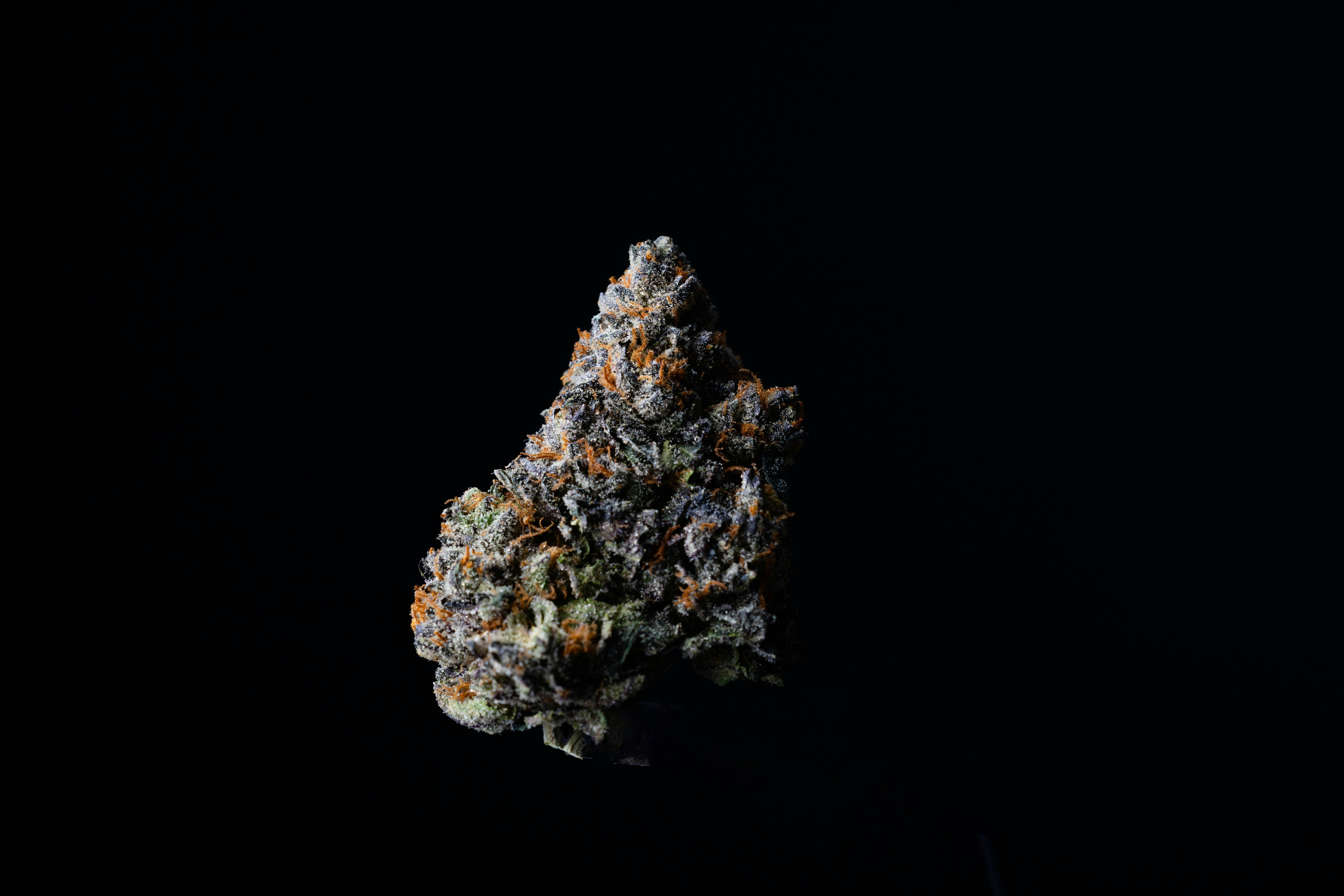 Allday - Pinacolado - Flower - 3.5g - 3.5g in Franklin Township