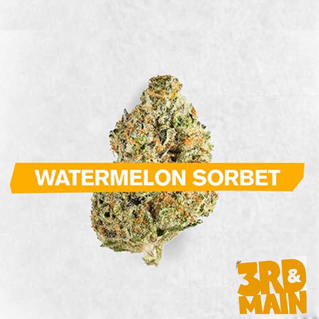 WATERMELON SORBET | WHOLE FLOWER | 1G