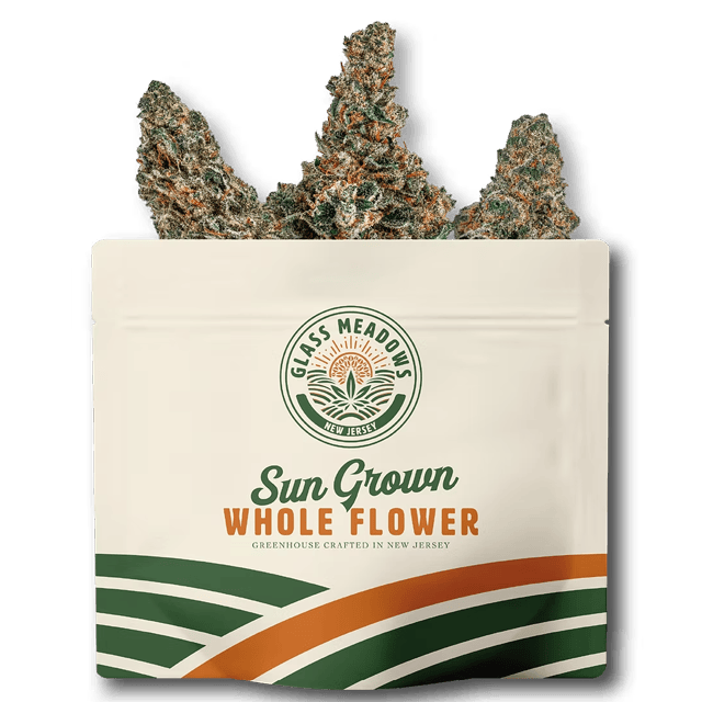JERSEY BOOF | WHOLE FLOWER | 3.5G - 3.5g | Flower from GLASS