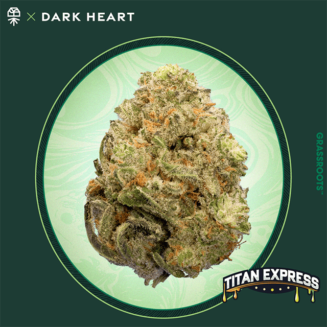 TITAN EXPRESS | WHOLE FLOWER | 3.5G
