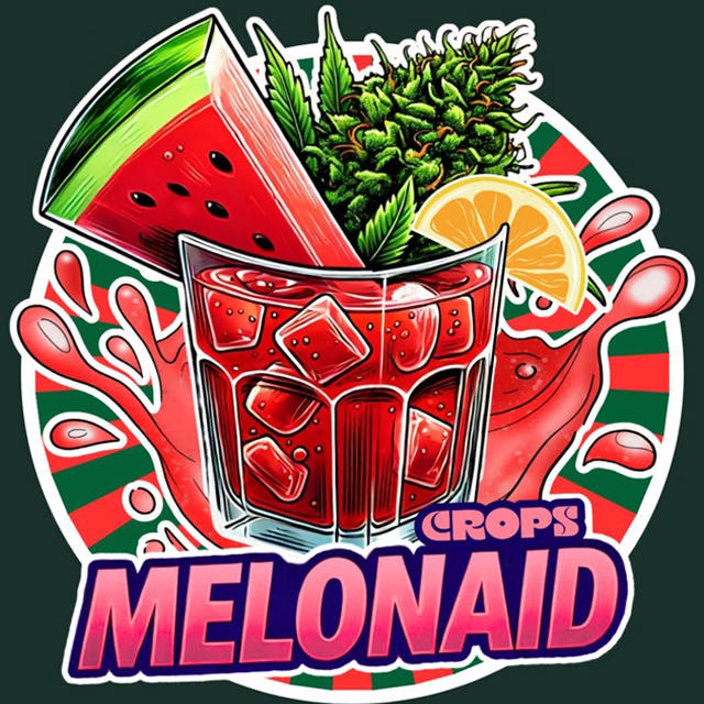 MELONAID WHOLE FLOWER |