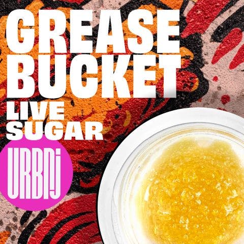 GREASE BUCKET | LIVE SUGAR |